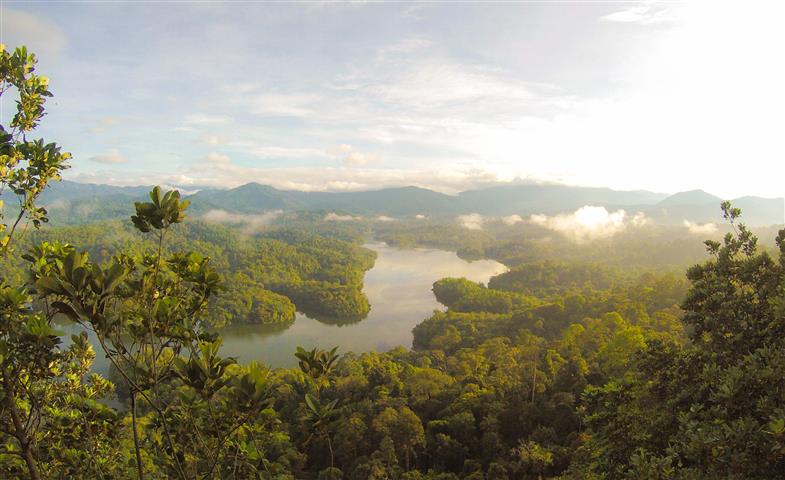 Green River (Small)